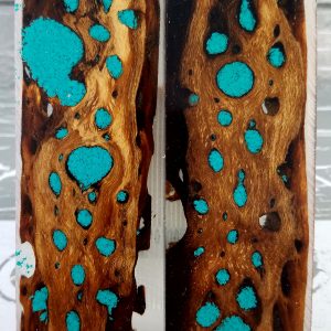 Clear Turquoise Cholla Cactus P1 Exotic Knife Handles Clear Turquoise Cholla Cactus P1 Exotic Knife Handles