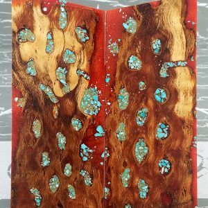 Orange Turquoise Cholla P1 Orange Turquoise Cholla P1
