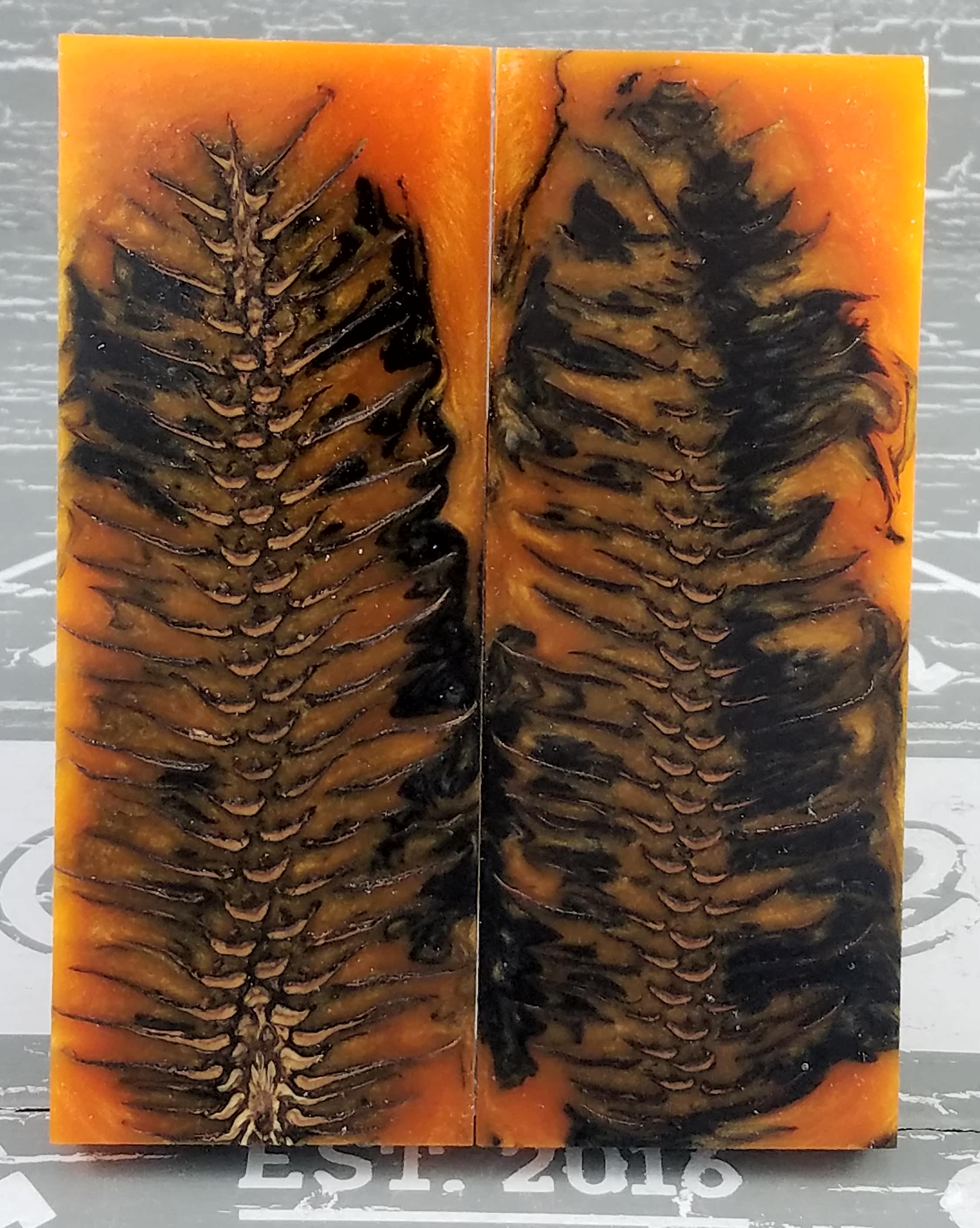 Pinecone Scales Exotic Knife Handles