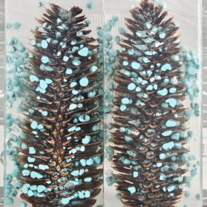 Clear Turquoise Pine Cone Knife Scales Knife Handle Blank Handle Material Norway Spruce Exotic Knife Handle Material P1
