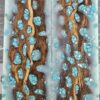 Polar Ice Turquoise Cholla Cactus Knife Scales Knife Handle Blank Handle Material Exotic Knife Handle P1 - Image 2