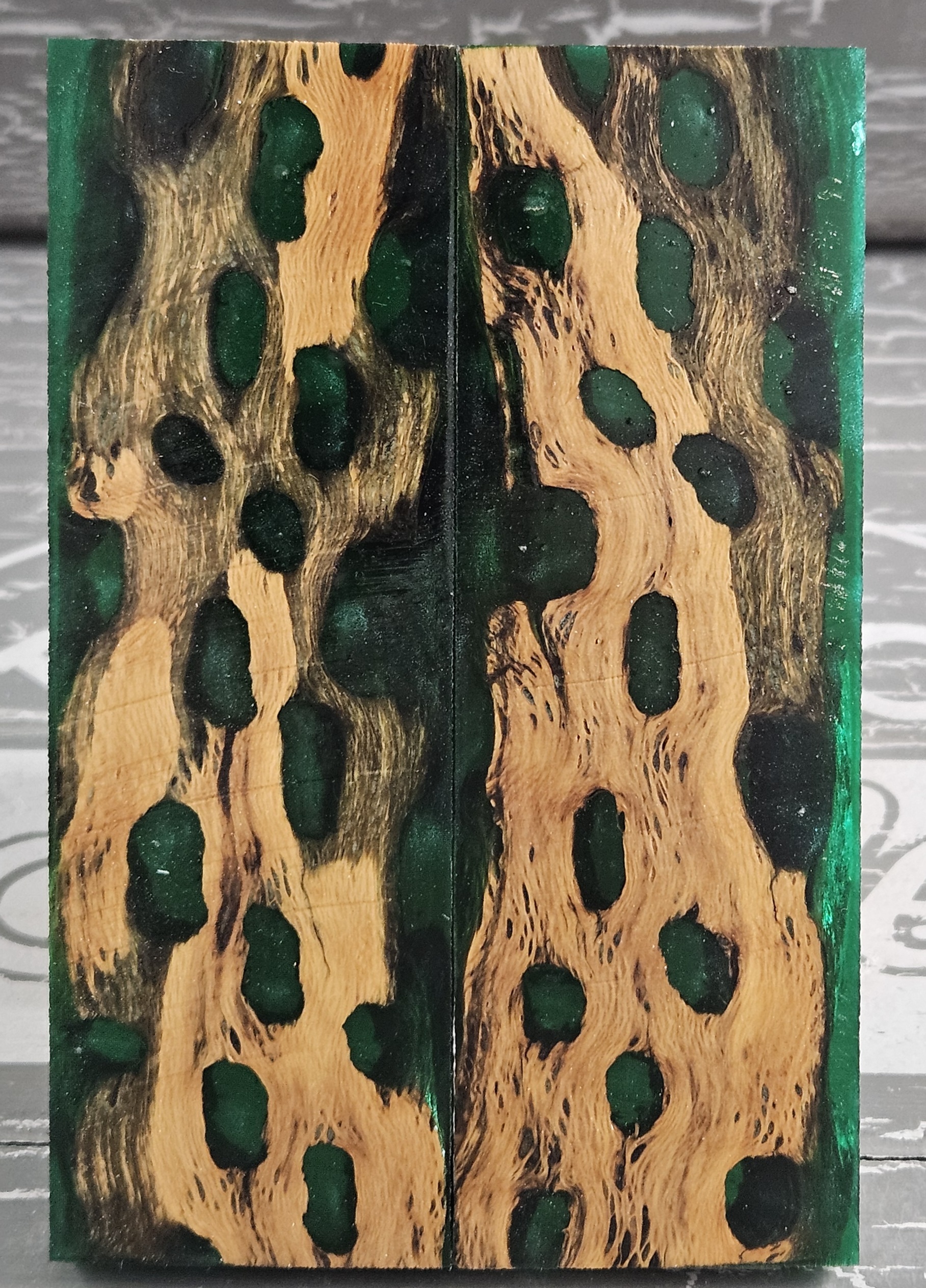 Forest Green Cholla Cactus Knife Scales Knife Handle Blank Handle Material Exotic Knife Handle P2