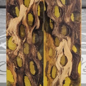 Amber Cholla Cactus Knife Scales Knife Handle Blank Handle Material Exotic Knife Handle P1