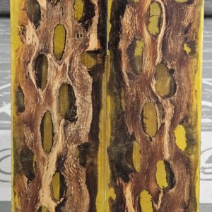 Amber Cholla Cactus Knife Scales Knife Handle Blank Handle Material Exotic Knife Handle P2