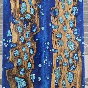 Brilliant Blue Turquoise Cholla Cactus Knife Scales Knife Handle Blank Handle Material Exotic Knife Handle P2
