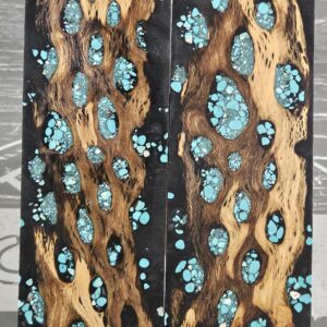 Black Turquoise Cholla Cactus Knife Scales Knife Handle Blank Handle Material Exotic Knife Handle P2