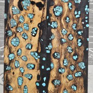 Black Turquoise Cholla Cactus Knife Scales Knife Handle Blank Handle Material Exotic Knife Handle P3