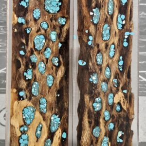 Clear Turquoise Cholla Cactus Knife Scales Knife Handle Blank Handle Material Exotic Knife Handle P1