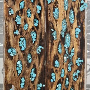 Clear Turquoise Cholla Cactus Knife Scales Knife Handle Blank Handle Material Exotic Knife Handle P2
