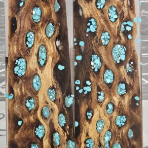 Clear Turquoise Cholla Cactus Knife Scales Knife Handle Blank Handle Material Exotic Knife Handle P2