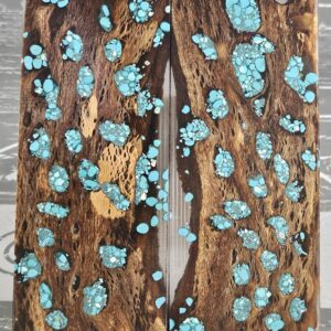 Clear Turquoise Cholla Cactus Knife Scales Knife Handle Blank Handle Material Exotic Knife Handle P3