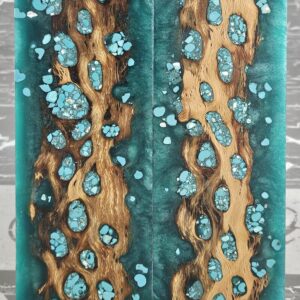 Sea Foam Green Turquoise Cholla Cactus Knife Scales Knife Handle Blank Handle Material Exotic Knife Handle P3